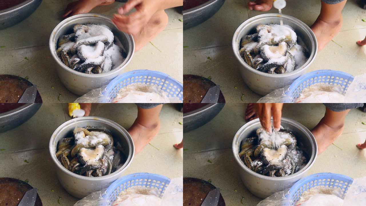 女人正在一个大钢锅里的蛇上腌制和倒油酱 (特写)