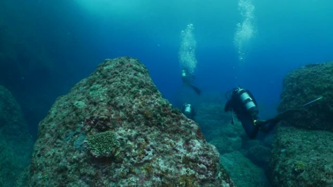 日本珊瑚礁水下水肺潜水