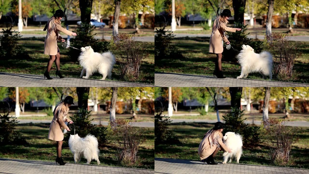 一个穿着秋衣的女孩在公园里训练一只狗。