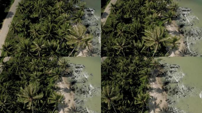 泰国亚洲海洋旁的棕榈树之路，全高清无人机拍摄