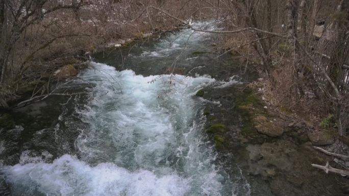 林间溪流流水