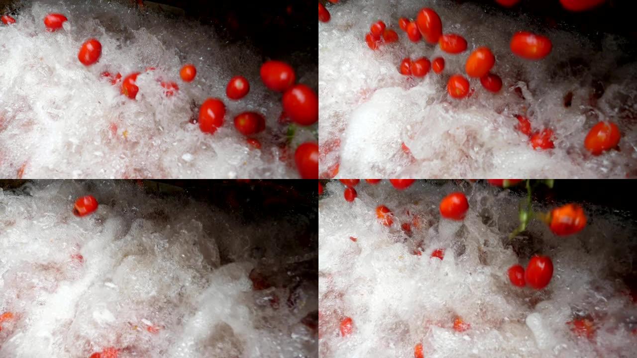 在慢动作的番茄加工厂中，许多新鲜的西红柿落在泡沫中并溅起了水。它看起来鼓舞人心，令人愉悦。