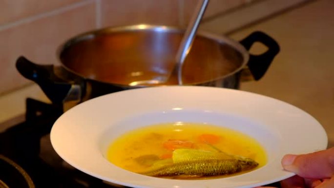 火锅里的蔬菜煮鱼汤。健康食品，包括胡萝卜，胡椒，香草和土豆。在鱼汤中加入鱼。烹饪过程