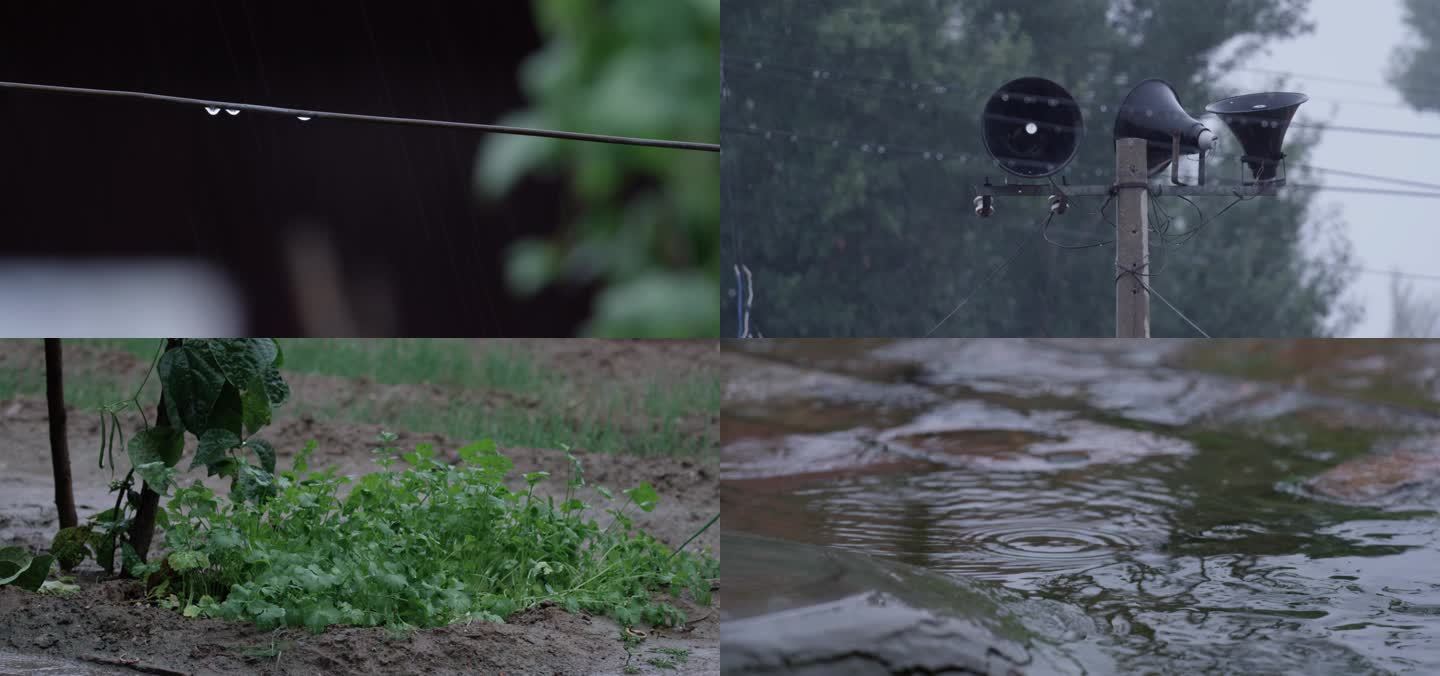 农村下雨空镜 秋雨谷雨，乡村农家小院