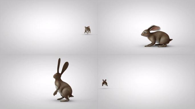 卡通兔子跑到屏幕中间，站起来，环顾四周，逃跑