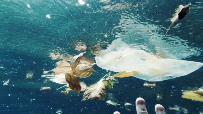 环保主义者志愿者从海洋中清除塑料