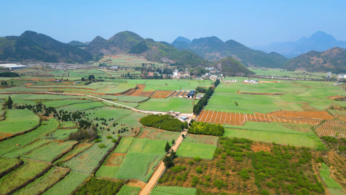 罗平县老山坡丘陵农场