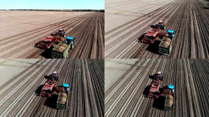 俯视图，航空公司。马铃薯收获期间在农田使用机械。土豆采摘机挖掘和采摘土豆，将农作物卸载到卡车后面。温