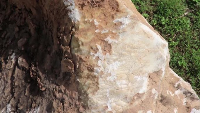 大理石石: 是由重结晶的碳酸盐矿物组成的变质岩，在地面上。