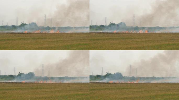 焚烧农场的农业症状污染。出生原因PM 2.5空气污染