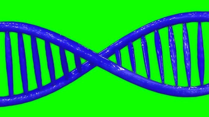 蓝色dna双螺旋遗传模型动画