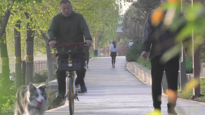 城市人文幸福生活公园早晨骑行骑车骑车骑行