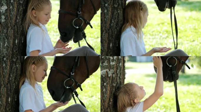 少女骑师坐在树下的绿色空地上。给马喂苹果，然后抚摸它。