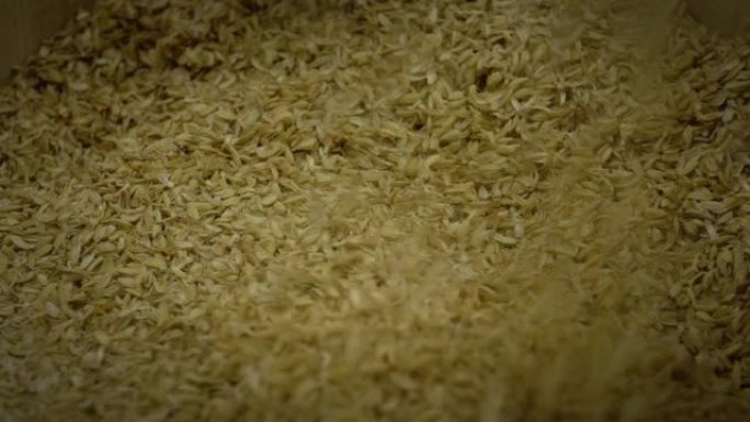 米粒种子背景的慢动作下落。农民饲料概念。