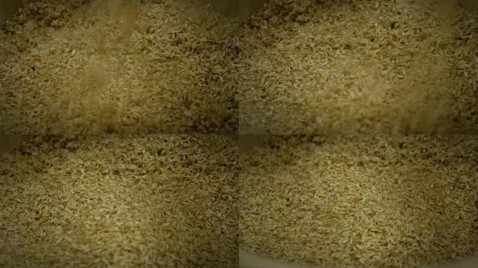 米粒种子背景的慢动作下落。农民饲料概念。