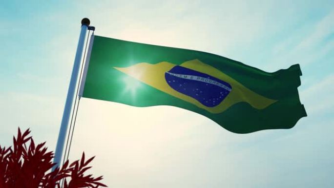 巴西国旗在旗杆上飘扬庆祝巴西国家庆典- 30fps 4k视频