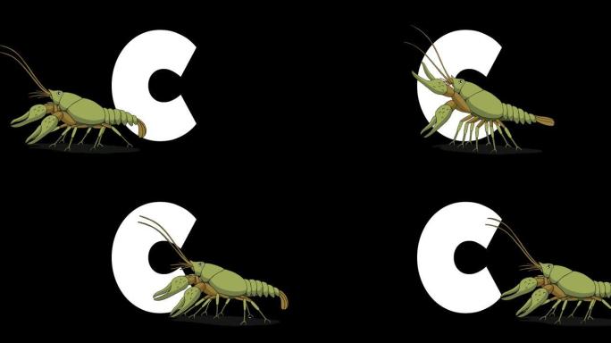 字母C和前景上的小龙虾