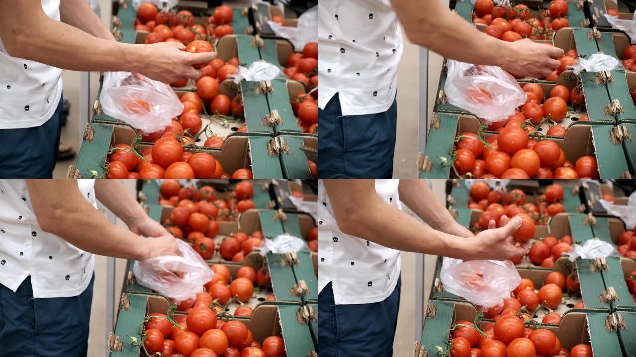 男人在商场买西红柿。一个年轻人采摘西红柿并放入购物车。选择西红柿