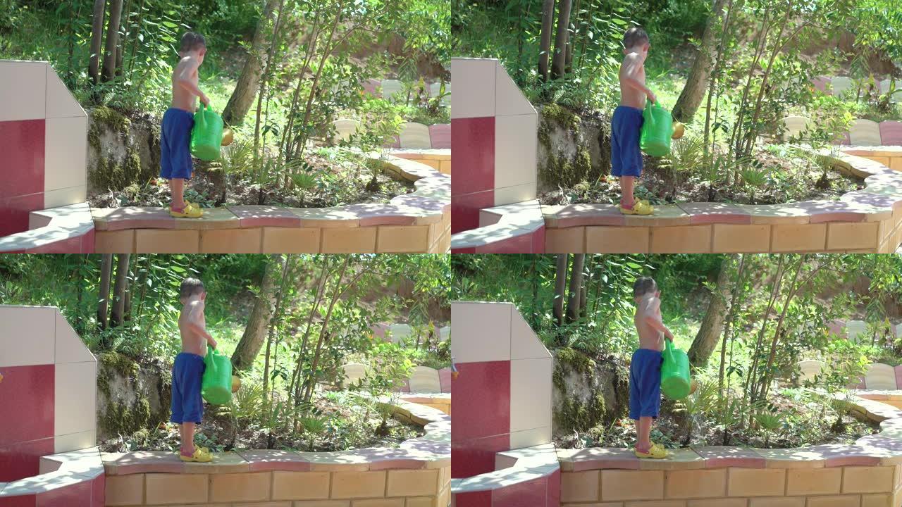 可爱的男孩从花园浇水罐浇水植物