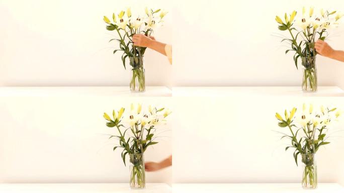 白墙背景上花瓶中的兰花调节女性手