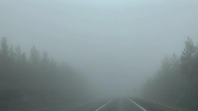 非常浓雾。道路消失在雾中。道路上危险的概念。
