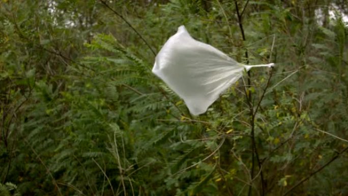 风中的垃圾塑料袋在树上。