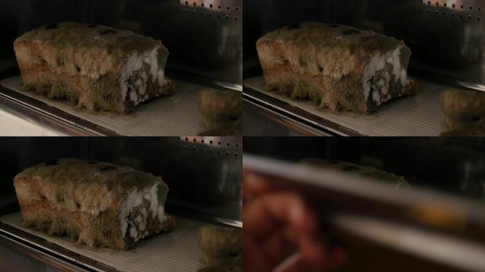打开一个面包盒，里面显示发霉的面包