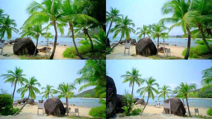海南三亚 椰树 椰子树 海边沙滩海滩度假