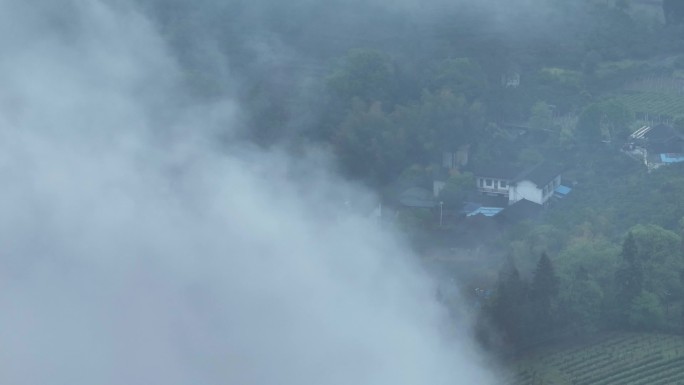 4K正版-航拍雾气中的山谷森林05