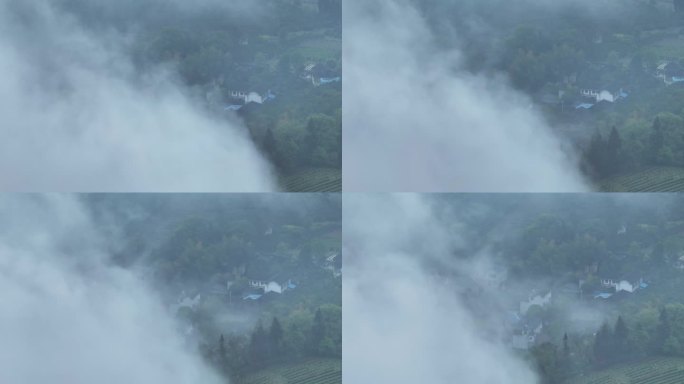 4K正版-航拍雾气中的山谷森林05