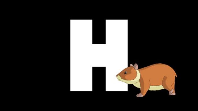 字母H和仓鼠在前景