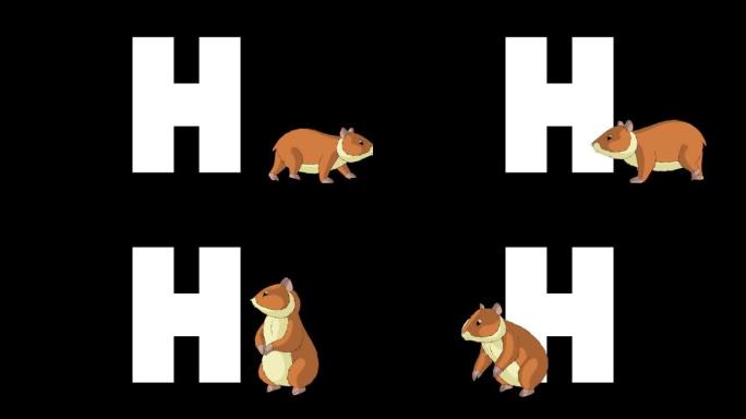 字母H和仓鼠在前景