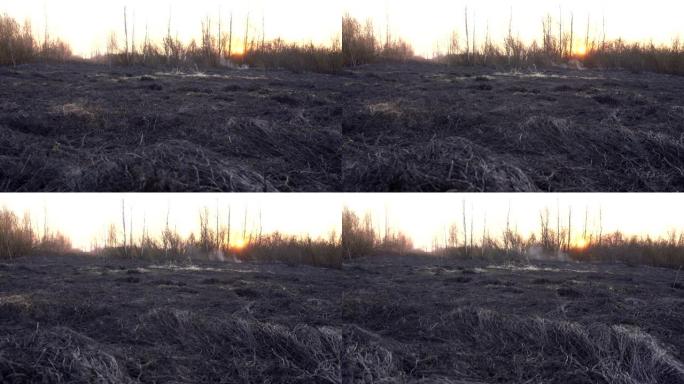 在日落背景上灭火后的后果，田野上的黑草和烟雾，风景