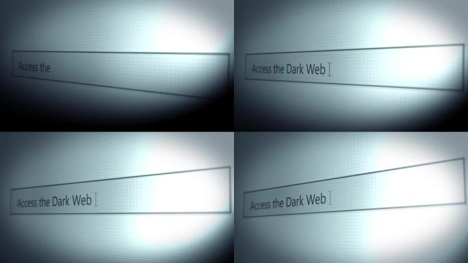 有争议的网络搜索结果系列-访问暗网