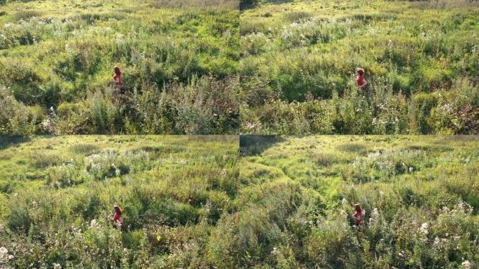 修长运动的中年红发女子从事户外跑步慢动作