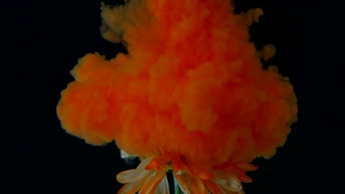 橙色墨滴在水中开花