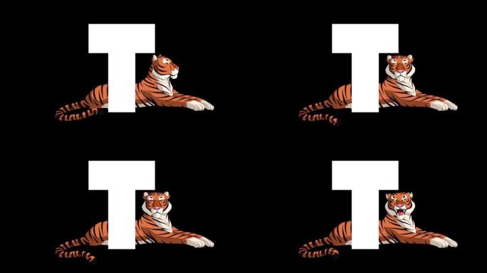 字母T和老虎背景