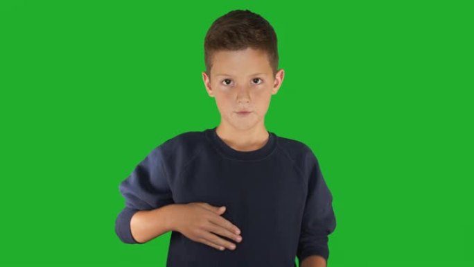 聋哑男孩签名我知道手语，听力障碍的交流。绿屏