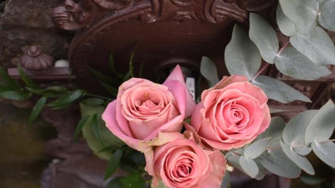花园里的粉红玫瑰。微风。玫瑰花在绿色背景上绽放。抒情情绪