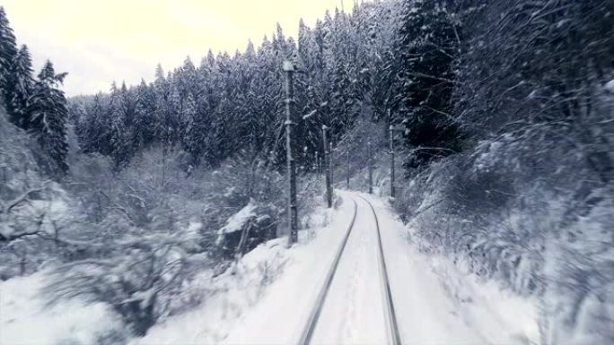 乘火车穿越雪林