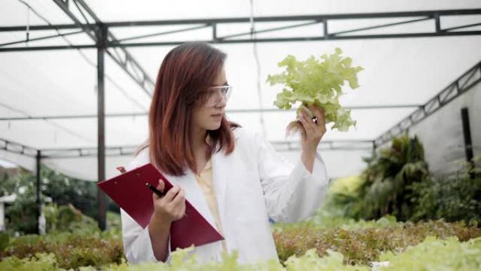 亚洲女植物学家检查生菜或绿色oad的状况并检查酸碱度。水。4k慢动作。