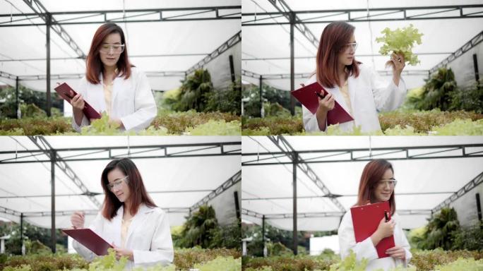 亚洲女植物学家检查生菜或绿色oad的状况并检查酸碱度。水。4k慢动作。