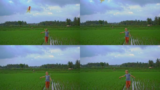 慢动作拍摄一个小男孩带着风筝穿过美丽的稻田
