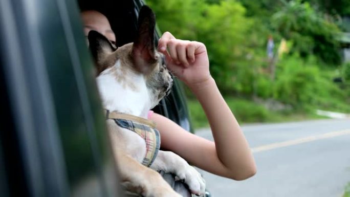 小女孩和小狗开车通过打开窗户来呼吸新鲜空气。