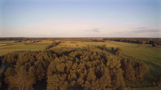 空中无人机的视频，树木和草地的景观