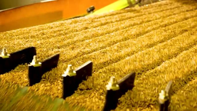 谷物种子的处理: 黑麦，大麦，小麦抗病，昆虫。4K