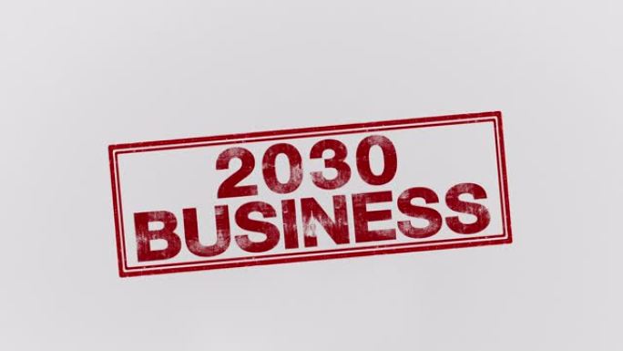 2030业务