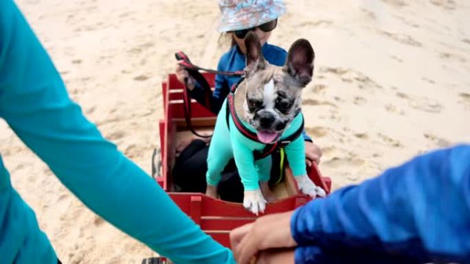 孩子们在海滩上带着狗的复古拉手推车很有趣也很开心