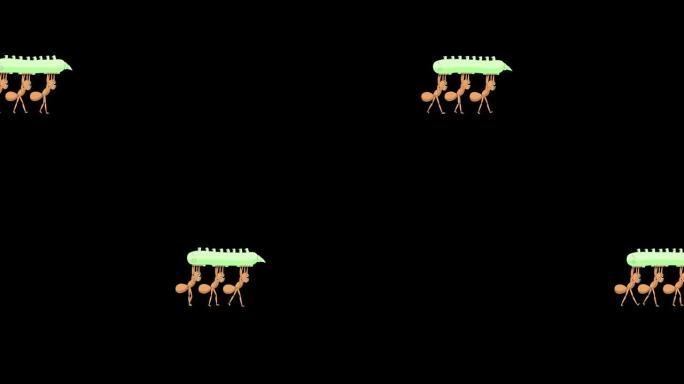 三只蚂蚁背着一只毛毛虫