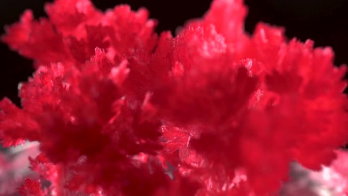 在框架中，在实验室中生长的晶体。红色水晶明亮而美丽，在黑色背景上。抽象